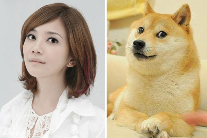 不小心就撞臉了！盤點(diǎn)動(dòng)物界的明星相