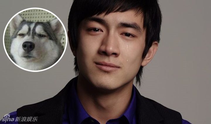 不小心就撞臉了！盤點(diǎn)動(dòng)物界的明星相