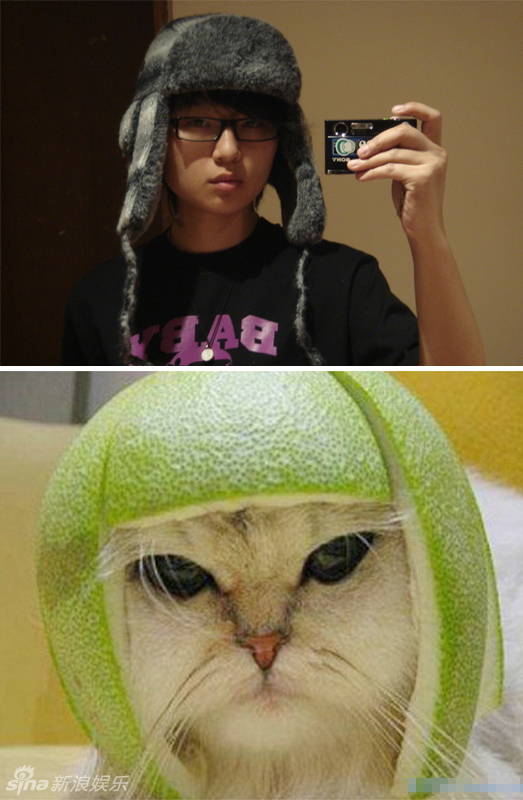 不小心就撞臉了！盤點(diǎn)動(dòng)物界的明星相