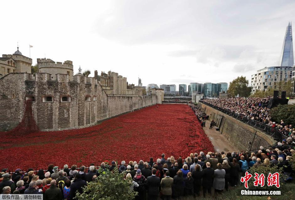當(dāng)?shù)貢r(shí)間2014年11月10日，英國(guó)倫敦，倫敦塔周邊“種植”了888246朵陶瓷材質(zhì)的罌粟花，以此紀(jì)