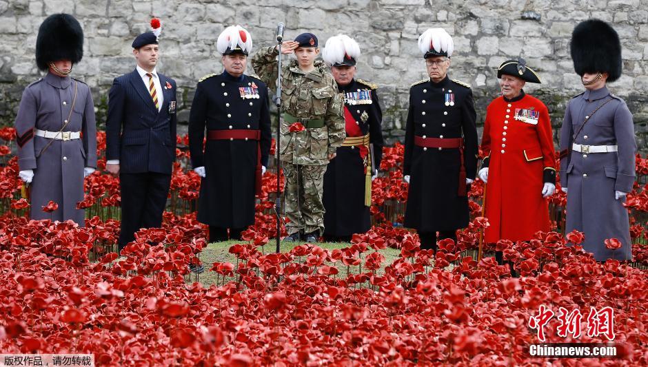 當(dāng)?shù)貢r(shí)間2014年11月10日，英國(guó)倫敦，倫敦塔周邊“種植”了888246朵陶瓷材質(zhì)的罌粟花，以此紀(jì)