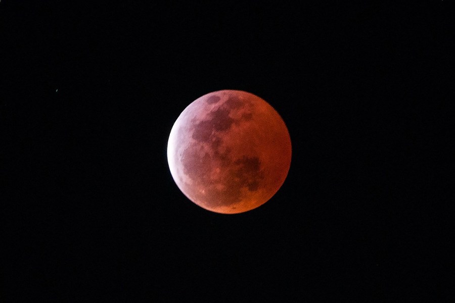 4月4日，福州上空出現(xiàn)紅月亮。楊婀娜/CFP