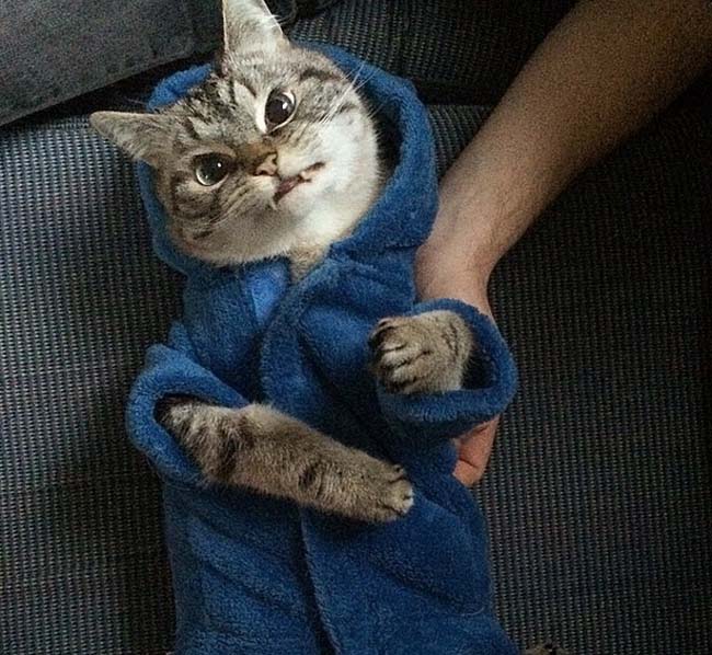 身穿浴袍的Loki好像看起來也沒那么兇哦。