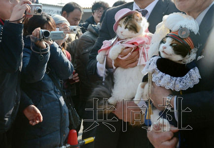 圖為粉絲們簇?fù)碇鞍⒂瘛闭鹃L(zhǎng)（右）。左側(cè)為其部下“二玉”。