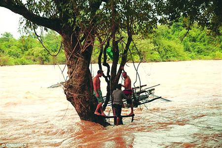 蓋屋、種菜，“從沒這樣快樂”