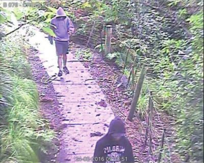 中國(guó)留學(xué)生新西蘭頻遭襲擊 警方被斥不作為