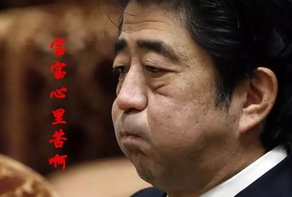 這種看安倍“熱鬧”的事兒，環(huán)環(huán)絕不私藏，一定雨露均沾!