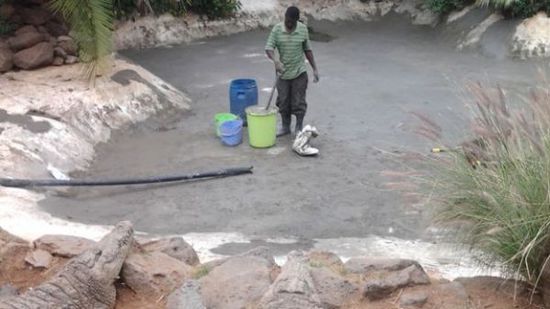 穆克的養(yǎng)殖場(chǎng)，鱷視眈眈下的工作人員。