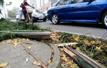 事發(fā)現(xiàn)場(chǎng)，嫌疑車輛撞壞的木樁。