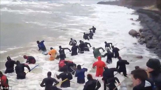 一場(chǎng)暴雨后，俄羅斯加里寧格勒Pionersky鎮(zhèn)，數(shù)十人潛入海水中搜尋琥珀。