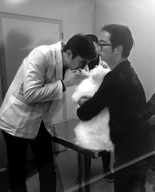 女子為給愛(ài)犬治病 從新疆開(kāi)了4天車還花費(fèi)5萬(wàn)5