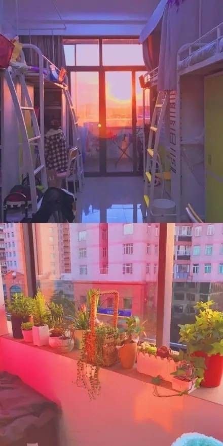 這個(gè)學(xué)校的男生宿舍火了！女同學(xué)都喊著要嫁