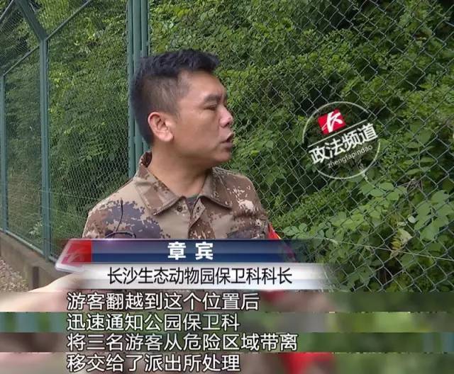 2女1男為逃票翻墻進(jìn)動(dòng)物園 落地時(shí)周?chē)玖?只虎