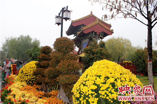 天好、花美 中國開封第32屆菊花文化節(jié)延長一周