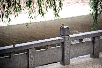 周末有陣雨明天迎來大暑