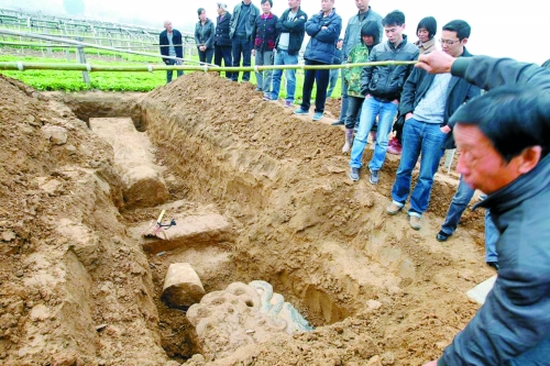 碑帽、赑屃、碑座、碑身依次排開(kāi)