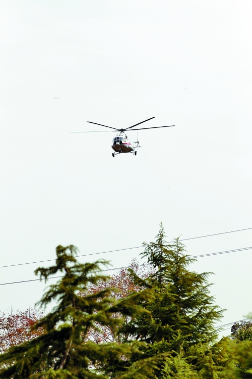 輕拋一點入云去，利眼“鐵鷹”掠地來