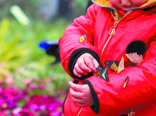 鄭州動(dòng)物園門(mén)票調(diào)整為30元