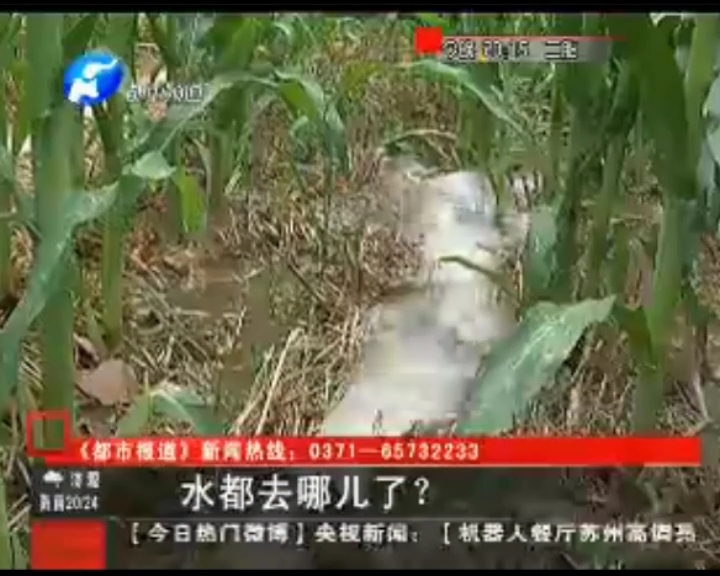 水都去哪了？