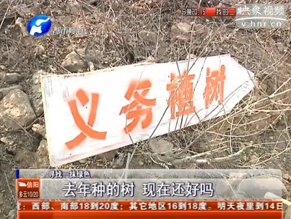 去年種的樹 現(xiàn)在還好嗎？