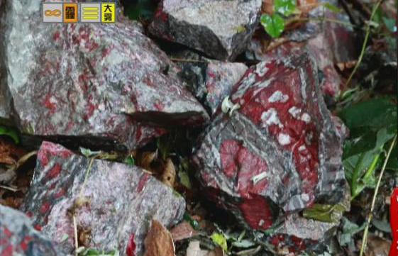 驚！神農(nóng)架無人區(qū)現(xiàn)神秘玉石