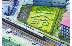 日本2005年列車事故現(xiàn)場附近的一塊農(nóng)田里勾勒出一個“命”字，以警世人。