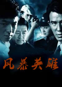 《風(fēng)暴英雄》海報(bào)