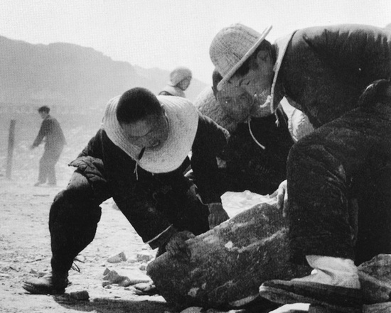 抬石頭，多少人手上都磨出了老繭