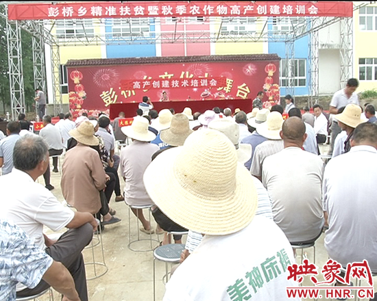 彭橋鄉(xiāng)高產創(chuàng)建技術培訓會